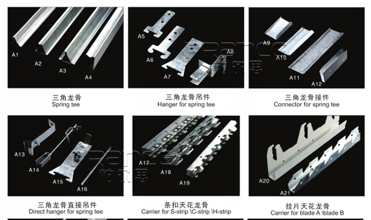 柏爾思三角龍骨